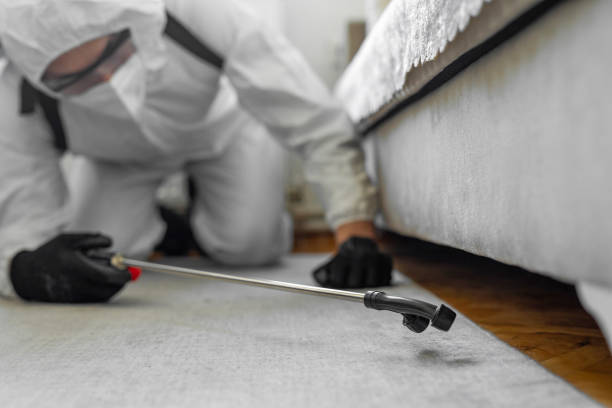 Professional Bed Bug Control technician working in Aiken County County, SC